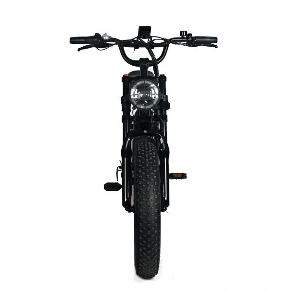 Electric Mountain Bike for Adults | 20 x 4.0 Fat Tires, 1000W Motor, 48V 20Ah Removable Battery, Max Speed 45MPH, Shi Mano 7-Speed for Off-Road Adventures - Levo Sportswear