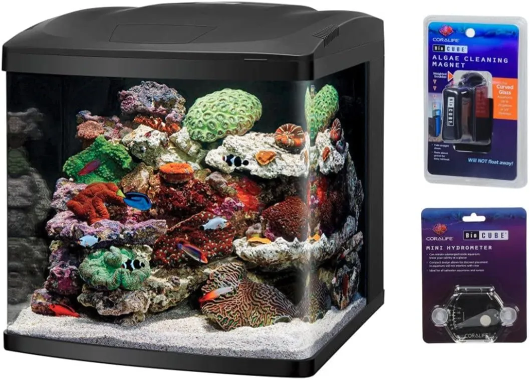 LED Tanks and Combo Kits (32 Gallon Tank/Stand Kit) - Levo Sportswear